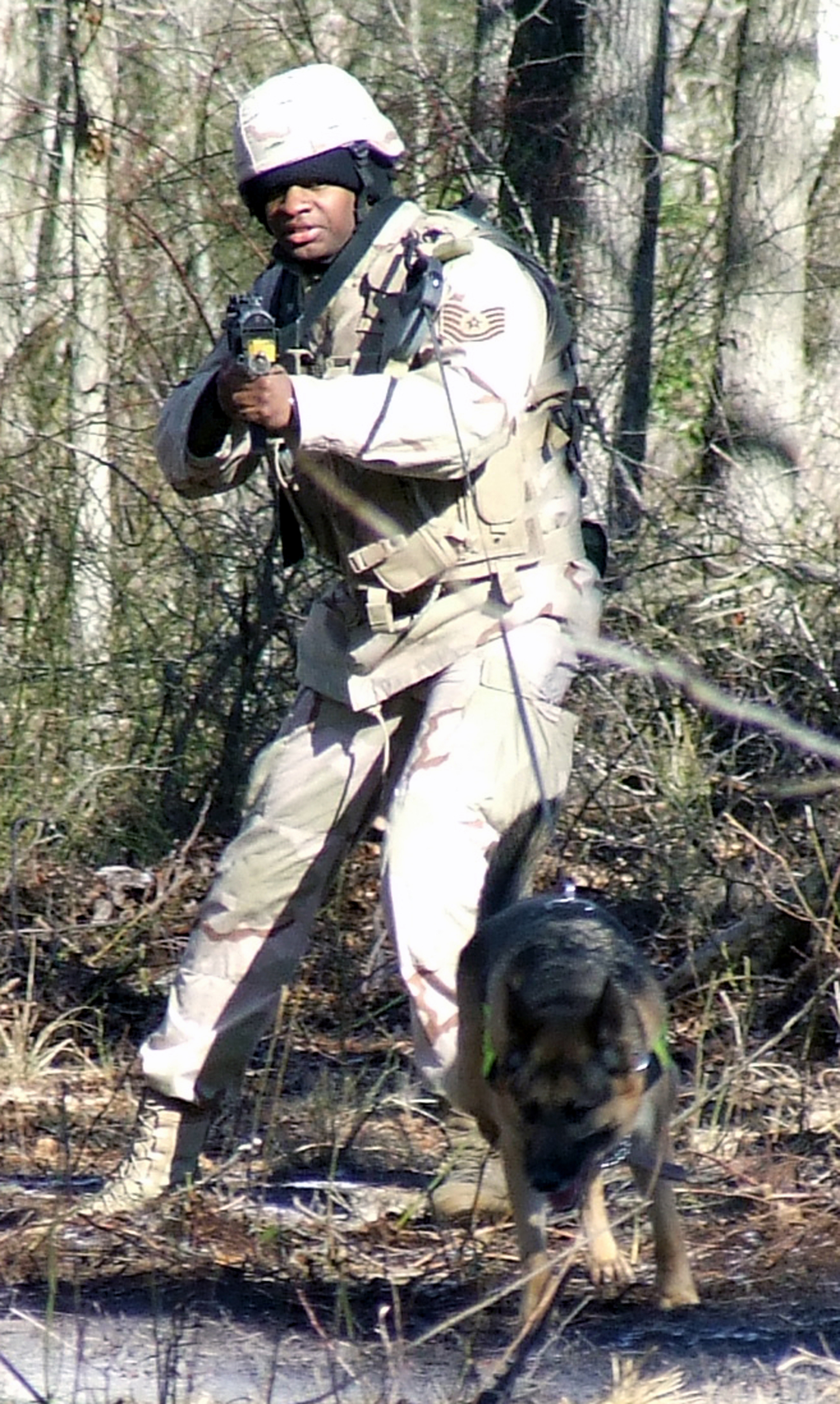 K 9 Combat Training Phoenix Warrior Style U S Air Force