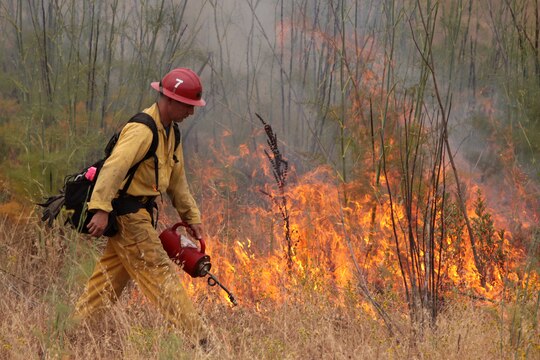 An instructor during this year's wild land fire training exercise starts a small controlled burn to help fire fighters from all across San Diego prepare for fires that might occur on Camp Pendleton, June 15. The base's fire department reacts to more than 300 wild fires aboard the base annually, making continuous training and team building exercises crucial.