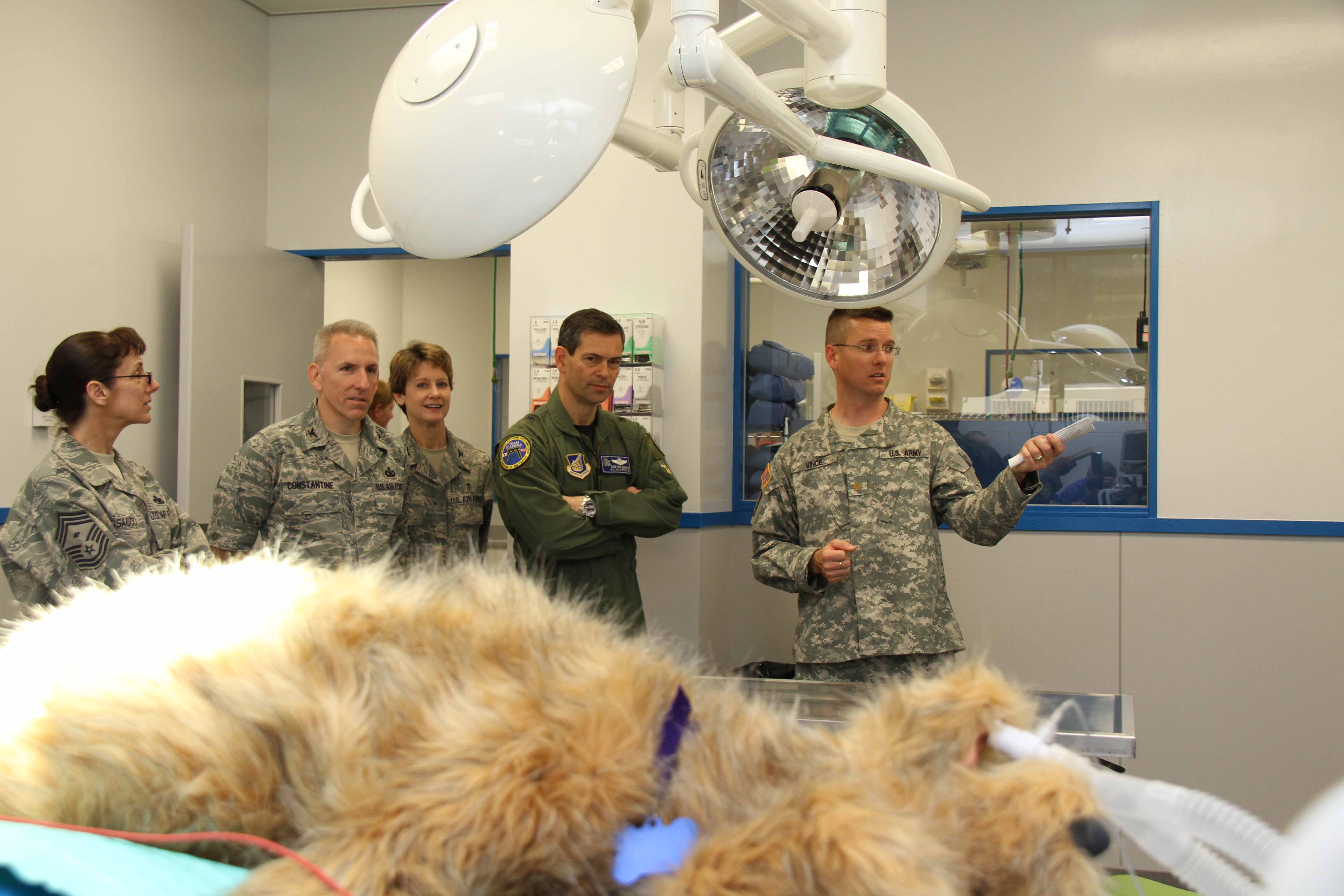 Okinawa Veterinary Treatment Facility reopens on Kadena Air Base