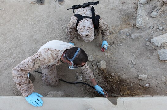 Petty Officer 2nd Class Daniel Walker (left), a preventative medicine technician with II Marine Headquarters Group, Regional Command Southwest, and Lt. j. g. Noel Cote, an entomologist with Marine Air Ground Task Force Support Battalion 11.2, 2nd Marine Logistics Group (Forward), utilize a broad spectrum insecticide to saturate a nest of Oriental hornets at Forward Operating Base Zeebrugge, Afghanistan, Sept. 24. The pair visited the base in response to a pest treatment request. (U.S. Marine Corps photo by Sgt. Justin J. Shemanski)