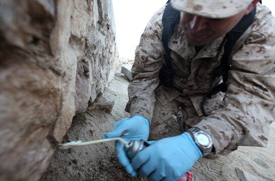 After a colleague applied a broad spectrum insecticide to the area to eliminate a large nest of Oriental hornets, Lt. j. g. Noel Cote, an entomologist with Marine Air Ground Task Force Support Battalion 11.2, 2nd Marine Logistics Group (Forward), seals a crevice with spray foam insulation in an effort to prevent additional hornets from nesting there during a pest treatment visit to Forward Operating Base Zeebrugge, Afghanistan, Sept. 24. In addition to the hornets, the two-man team also took care of a subterranean termite issue. (U.S. Marine Corps photo by Sgt. Justin J. Shemanski)