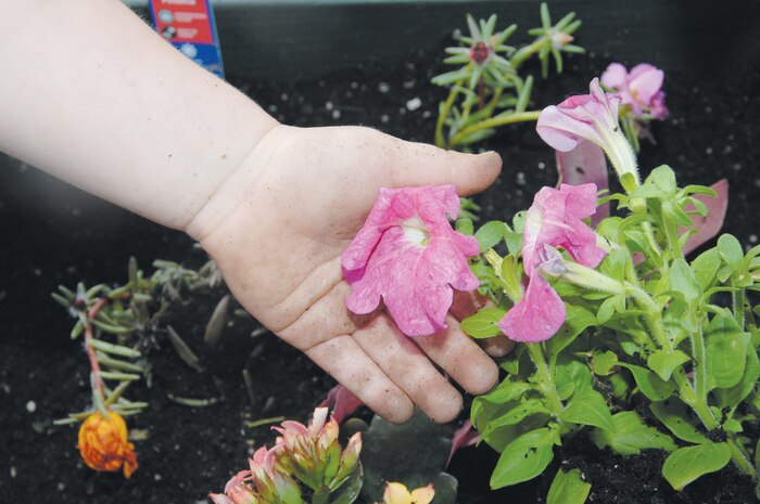 Children at the Child Development Center, Marine Corps Logistics Base Albany,  plant flowers and vegetables in recognition of Earth Day, April 20.