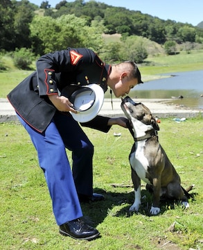 U.S. Marine Lance Cpl Jonathan Contreras, from Vista, Calif. is reunited with his two-year-old pit bull named Diego after seven months on deployment in Afghanistan, at the Uvas Reservoir boat ramp Sunday. Diego's living situation was facilitated through a national organization called Dogs on Deployment, where he has been staying at a Gilroy home for the past three months.
