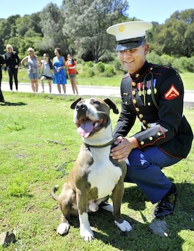 U.S. Marine Lance Cpl Jonathan Contreras, from Vista, Calif. enjoys a moment with his two-year-old pit bull Diego after a seven month absence, at the Uvas Reservoir boat ramp Sunday. While Contreras was on deployment in Afghanistan, Diego's living situation was facilitated through a national organization called Dogs on Deployment, where he has been staying at a Gilroy home for the past three months.