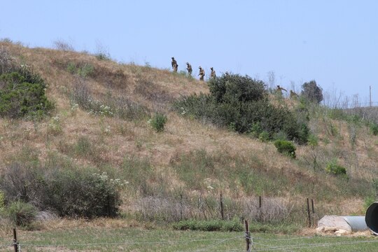Recruits of Company D hike the hills of Edson Range, Marine Corps Base Camp Pendleton, Calif. while they work on their land navigation skills May 16. During field week recruits get a feel for working in the field by sleeping outside and eating meals-ready-to-eat.