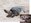 On July 16, 2009, only the 3rd documented Olive Ridley turtle nesting in Hawaii occurred aboard Marine Corps Base Hawaii on Pyramid Rock Beach.  The MCB Hawaii egg hatching was the most successful of the three events – over 50% of the eggs hatched. With the exception of nesting in Hawaii noted above, there is no nesting by this species anywhere in the United States or the territories under U.S. political jurisdiction.