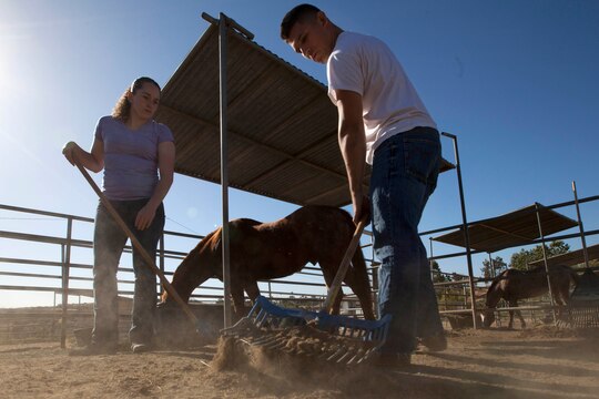 Lance Cpl. Kathryn Howard and Lance Cpl. Luis Botero pick up horse manure during the Single Marine Program’s volunteer event at the Stepp Stables here April 17. Howard is a photographer with Headquarters and Support Battalion’s Combat Camera and Osborne is a flight line mechanic with Marine Light Attack Helicopter Squadron 469 here.