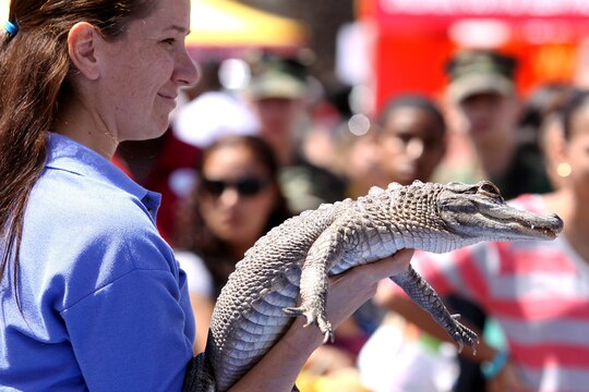 A Sea World animal handler presents Charlie the alligator to an audience during the 18th annual Kids First Fair hosted by Marine and Family Programs at the Paige Fieldhouse here April 27. The theme for this year’s event was “Kids are superheroes” and provided live attractions, demonstrations and entertainment including a pony rides, face painting and rock climbing for military youth.