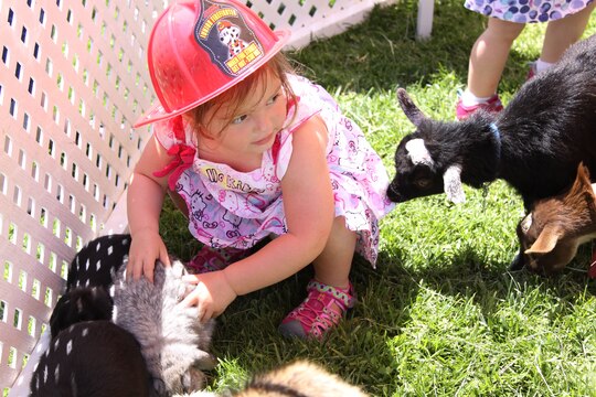 Brooklyn, 2, touches a rabbit while in the petting zoo area of the 18th annual Kids First Fair hosted by Marine and Family Programs at the Paige Fieldhouse here April 27. The theme for this year’s event was “Kids are superheroes” and provided live attractions, demonstrations and entertainment including a pony rides, face painting and rock climbing for military youth.
