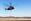 A CH-53E Super Stallion with Marine Heavy Helicopter Squadron 466, "Wolfpack," 3rd Marine Aircraft Wing, practices external lifts aboard Marine Corps Air Station Miramar, Calif., Feb. 28. The Super Stallion is toting a 6,200-pound load from a single-point sling, simulating external cargo transport as it would occur in areas of operation such as Afghanistan.