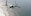 An MV-22B Osprey with Marine Medium Tiltrotor Squadron 161 "Greyhawks" flies over the Pacific Ocean on its way to collect a detachment of Marines with 1st Battalion, 11th Marines after they performed sensor recovery, repair and updating aboard San Clemente Island, Calif., Nov. 1. This was a routine flight for the squadron, but crucial to the ground unit's mission aboard the island.