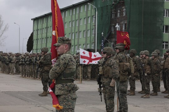 U.S. Marines and sailors stand at attention next to the Republic of Georgia's 4th Infantry Brigade for the opening ceremony of the Exercise Agile Spirit 13 joint training event.