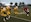 Casey Rogers, a quarterback with the Marine Corps Air Station Miramar Falcons, runs down the field during a game against the 3rd Assault Amphibian Battalion Gators at the Paige Field House aboard Marine Corps Base Camp Pendleton, Calif., Aug. 13. The Falcons' next game is against the 5th Marine Grizzlies on Aug. 27.