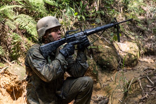 Sgt. Max Hedrington, a native of Rib Lake, Wis., provides rear security during the casualty carry portion of an endurance course April 17 at the Jungle Warfare Training Center on Camp Gonsalves. The last leg of the course requires the participating teams to stabilize a mock casualty, make a field-expedient stretcher, and transport the casualty over a mile of steep slopes and harsh jungle terrain. Hedrington is a vehicle repair technician with 3rd Assault Amphibian Battalion currently assigned to Combat Assault Battalion, 3rd Marine Division, III Marine Expeditionary Force, under the unit deployment program. (U.S. Marine Corps photo by Cpl. Stephen D. Himes/Released)