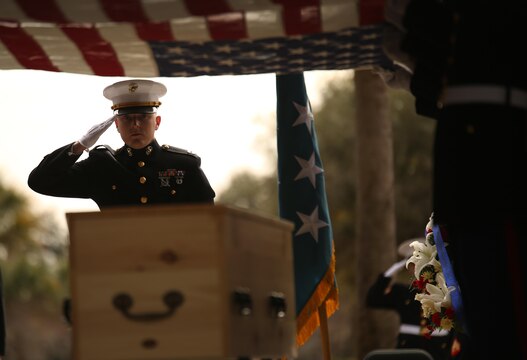 Marines from Marine Corps Recruit Depot Parris Island’s burial team salute the nation’s flag as it is held over the casket of Medal of Honor recipient John James McGinty III, during his funeral Jan. 23, 2014, at Beaufort National Cemetery in Beaufort, S.C. McGinty, a decorated Vietnam War hero and Marine Corps Recruit Depot Parris Island veteran, died Jan. 17, 2014, in his home in Beaufort at the age of 73.