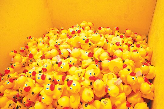 Each of the United Cerebral Palsy Association of Hawaii’s wooden boxes holds 4,000 rubber duckies. While the majority of 3rd Battalion, 3rd Marine Regiment Marines train at the Mountain Warfare Training Center, in Bridgeport, Calif., Marines in the remain-behind element filled the Ala Wai Canal in Honolulu with rubber duckies to support the 27th Annual Great Hawaiian Rubber Duckie Race, March 21, 2014, which raised money to help people who have cerebral palsy. (U.S. Marine Corps photo by Lance Cpl. Matthew Bragg)