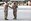 Lt. Col. Benjamin J. Pappas, commanding officer, 2nd Marine Special Operations Battalion, transfers the noncommissioned officer’s sword to Sgt. Maj. Edwin A. Mota, incoming sergeant major, 2nd MSOB, during a Relief and Appointment Ceremony at the 2nd MSOB headquarters, May 29.
