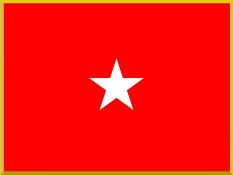 Brigadier General's flag