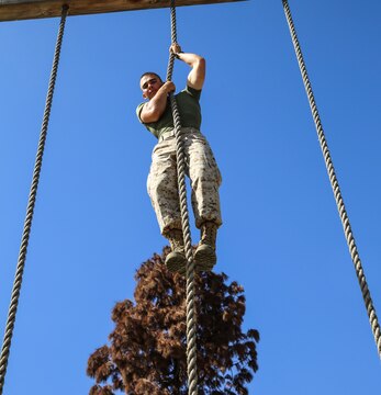 Private First Class Leo C. Menge, Delta Company, 1st Recruit Training Battalion, climbs a rope during a physical fitness session at Marine Corps Recruit Depot San Diego, Aug. 3. Following recruit training, Menge will move on to the School of Infantry in Camp Pendleton, Calif., where he will go through Marine Combat Training. Upon completion of MCT, he will pursue his military occupational specialty in military police. He plans on trying out for the USMC MMA Fight Team and competing with them as long as he can. Today, all males recruited from west of the Mississippi are trained at MCRD San Diego. The depot is responsible for training more than 16,000 recruits annually. Delta Company is scheduled to graduate Aug. 7.