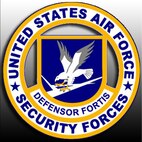 U.S. Air Force Graphic