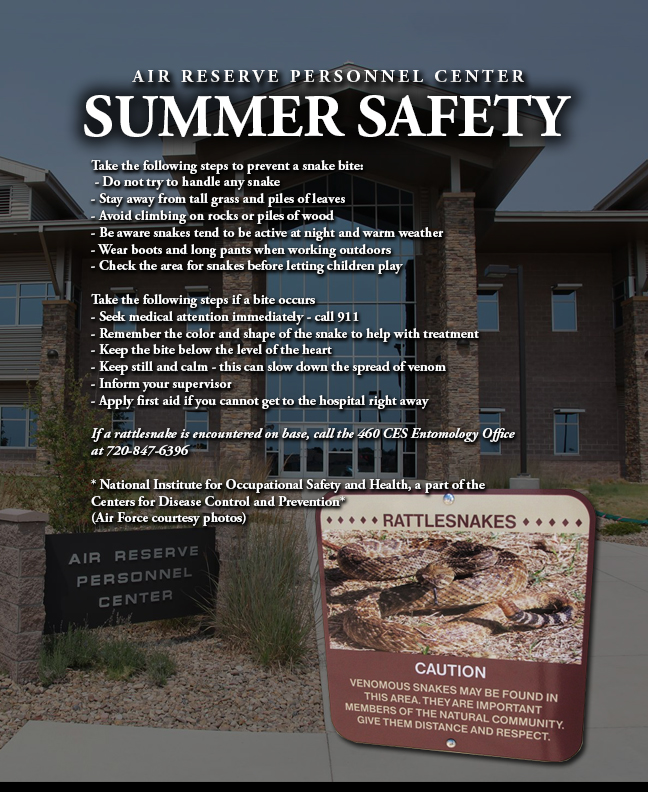 ARPC rattlesnake safety tips > Air Reserve Personnel Center > Article