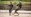 U.S. Marine Cpl. Carlson, right, dismounts the rappel rope during a company competition for Korean Marine Exchange Program 15-12 at Yooghuk Dae, Munseu San Mountain, Republic of Korea, Sept. 11, 2015. The U.S. and ROK Marines participated in a race of the fastest company to complete rappelling, rock climbing and rope climbing before a sprint to the finish line. KMEP 15-12 is a bilateral training exercise that enhances the ROK and U.S. alliance, promotes stability on the Korean Peninsula and strengthens ROK and U.S. military capabilities and interoperability. Carlson, from Virginia Beach, Virginia, is a rifleman with Fox Company, 2nd Battalion, 3rd Marine Division and attached through the Unit Deployment Program to III Marine Expeditionary Force. The ROK Marines are with 11th Battalion, 1st Regiment, 2nd Marine Division, ROK Headquarters Marine Corps.