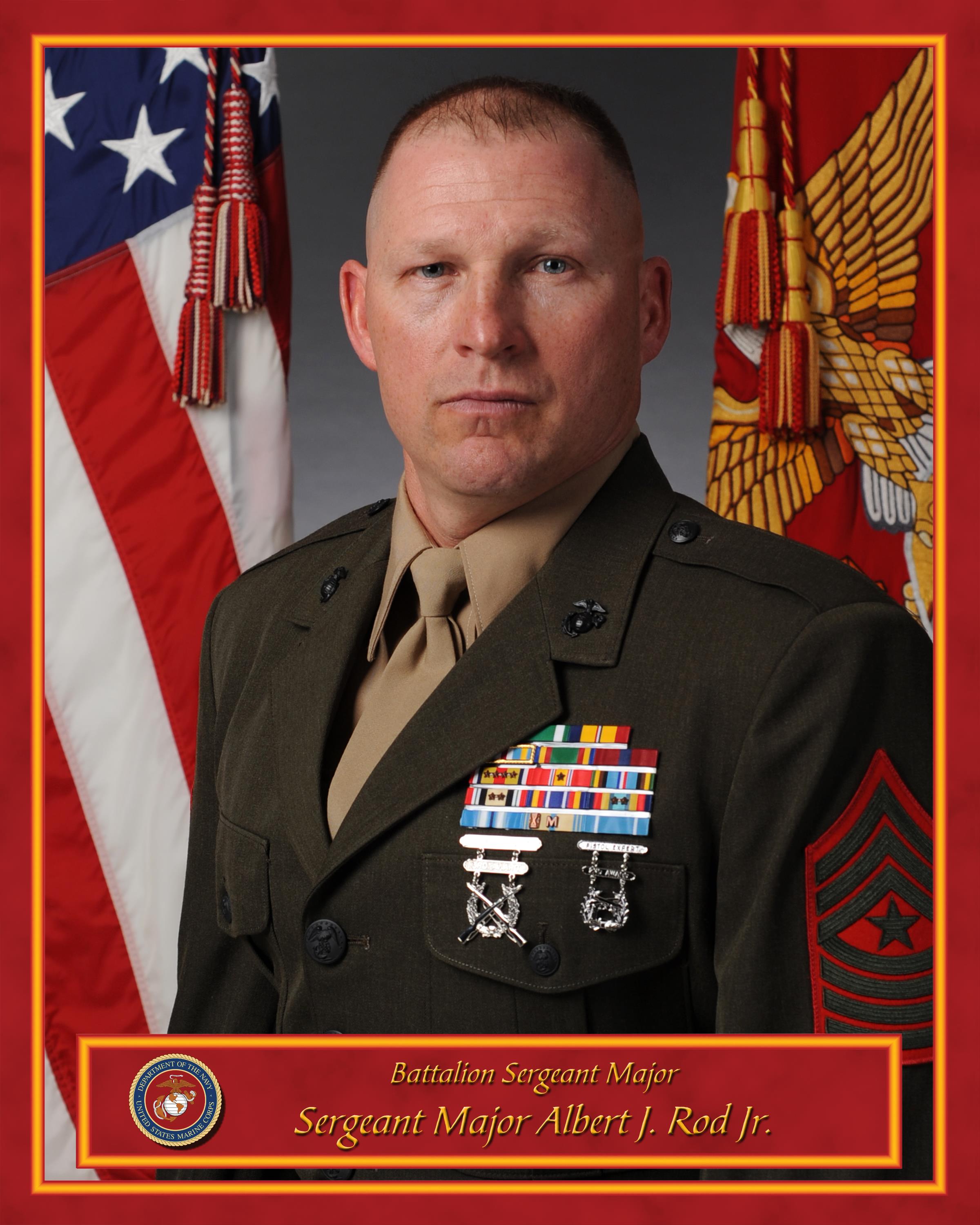 Sergeant Major 3rd Battalion 14th Marines Marine Corps Forces
