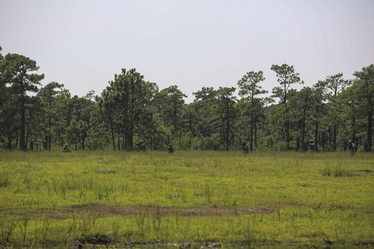 Marines with Golf Company, 2nd Battalion, 2nd Marine Regiment, emerge form a tree line to meet Marines with Alpha Company, 2nd Tank Battalion, during an integrated exercise at LZ Dodo, Camp Lejeune, N.C., Sept. 2, 2015. The exercise comes at a time when both battalions are making preparations for their Integrated Training Exercise at Marine Corps Air Ground Combat Center, Twentynine Palms, Calif., in the coming months. (U.S. Marine Corps photo by Cpl. Paul S. Martinez/Released)