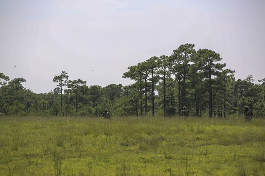 Marines with Golf Company, 2nd Battalion, 2nd Marine Regiment, emerge form a tree line to meet Marines with Alpha Company, 2nd Tank Battalion, during an integrated exercise at LZ Dodo, Camp Lejeune, N.C., Sept. 2, 2015. The exercise comes at a time when both battalions are making preparations for their Integrated Training Exercise at Marine Corps Air Ground Combat Center, Twentynine Palms, Calif., in the coming months. (U.S. Marine Corps photo by Cpl. Paul S. Martinez/Released)