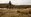 U.S. Marines with Black Sea Rotational Force move to the 100 yard line to shoot their conformation group during a live-fire exercise aboard Mihail Kognalniceanu Air Base, Romania, Feb. 2, 2016. Marines from 1st Battalion, 8th Marine Regiment, conducted battle sight zeroes on various individual weapons systems, to prepare for future BSRF exercises and contingencies. 
