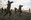 Recruits of Charlie Company, 1st Recruit Training Battalion, conduct smashes during a Marine Corps Martial Arts Program Test at Marine Corps Recruit Depot San Diego, April 27. If a recruit received more than five deficiency marks during the test, for either conducting the wrong technique or executing it incorrectly, he failed the test. Annually, more than 17,000 males recruited from the Western Recruiting Region are trained at MCRD San Diego. Charlie Company is scheduled to graduate May 20.