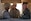 Brigadier General David A. Ottignon, 1st Marine Logistics Group Commanding General, speaks with Lance Cpl. Frederick Vaca and Lance Cpl. Landon Brown, combat engineers with Combat Logistics Battalion 5, about how they can positively affect their unit by training hard and excelling in their job. Ottignon visited several MLG units aboard Marine Corps Air Ground Combat Center Twentynine Palms, Calif., on Jan. 26-27, 2016, to speak with unit commanders as well as engage junior Marines and Non-Commissioned officers to get sense of how the units were doing and what areas could be improved upon. 