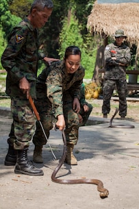 U.S. Marine Corps Cpl. Jessica Cortez with 31st Marine Expeditionary Unit, practices how to handle a cobra during jungle survival training led by the Royal Thai Reconnaissance Marines during Cobra Gold 16, Sattahip, Thailand, Feb. 8, 2016. Cobra Gold, in its 35th iteration, is designed to advance regional security and ensure effective responses to regional security crises by bringing together a robust combined task force from partner nations sharing common goals and security commitments in the Indo-Asia-Pacific.