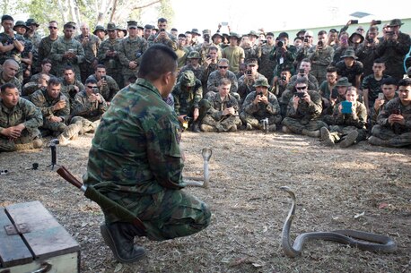 U.S. Marines assigned to the 31st Marine Expeditionary Unit, along with Thai Korean Marines, watch Royal Thai Marine Chief Petty Officer 1st Class Pairog Prasansai, assigned to Recon Battalion, demonstrate how cobras are attracted to heat and motion in jungle survival training during Cobra Gold 2016 on Ban Chan Krem, Thailand, Feb. 13, 2016. CG16 provides a joint, combined task force venue for all participating nations to advance interoperability and increase capacity to conduct combined task force events.
