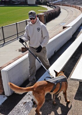 Staff Sgt. Karl Stefanowicz, 14th Security Forces Squadron Military Working Dog handler, and MWD Nnora hunt for improvised explosive training devices around Wade Stadium Feb. 16 at Mississippi State University in Starkville, Mississippi. Working dogs are able to detect the scent of explosives, allowing large venues to be swept in a rapid fashion. (U.S. Air Force photo/2nd Lt. Lauren Woods)