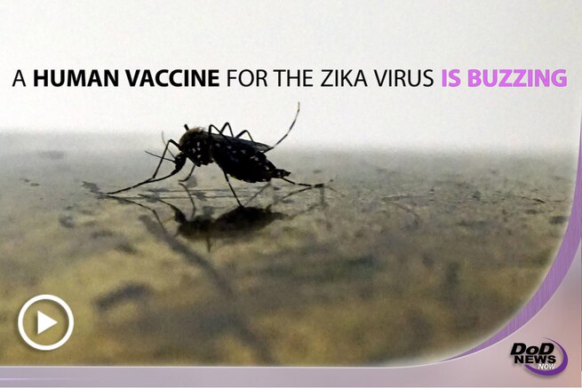 Since November 2015, scientists at the Walter Reed Army Institute of Research have been working with a strain of the Zika virus from Puerto Rico. They've recently developed a promising vaccine called ZPIV, which could be a key contributor in preventing the continued spread of Zika.
