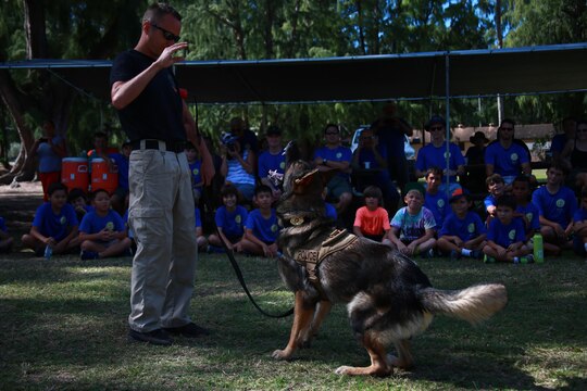 MARINE CORPS TRAINING AREA BELLOWS – Police Officer Kristopher Evers, a military working dog handler for the Provost Marshal’s Office Military Working Dogs Unit with Headquarters Battalion from Marine Corps Base Hawaii, commands his military working dog Diego during a demonstration for Cub Scout Troop 311, aboard Marine Corps Training Area Bellows, March 5, 2016. Marines and civilian officers gave different commands to their dogs, showing off their intelligence and obedience. The dog handlers also wore a bite jacket for a mock take down by the dogs to show the scouts the discipline and training the dogs show when facing a real threat. Evers, a Denver, Colo., native, said they train with the dogs so much and spend a lot of time taking care of them that they are a part his family. (U.S. Marine Corps Photo by Lance Cpl. Jesus Sepulveda Torres)