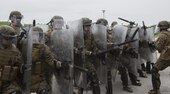 Reserve Marines with 4th Law Enforcement Battalion, Force Headquarters Group, Marine Forces Reserve, practice striking while taking a class on crowd control during exercise Platinum Wolf 2016 at Peacekeeping Training Operations Center South Base in Bujanovac, Serbia, May 12, 2016. Platinum Wolf brings together service members from Bosnia, Bulgaria, Macedonia, Montenegro, Serbia, Slovenia, and the United States to train in peacekeeping operations and non-lethal weapons capabilities. 
