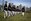 Members of the Marine Corps Silent Drill Platoon perform at Liberty State Park, New Jersey, May 29, 2016. U.S. Marines and sailors are in New Jersey to interact with the public, demonstrate capabilities, and teach the people of New Jersey about America's sea services. (U.S. Marine Corps photo by Lance Cpl. Samantha A. Barajas, 2D MARDIV Combat Camera/Released)