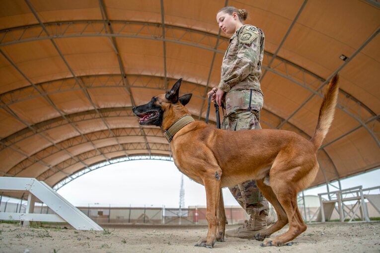 An airman stands with a dog.