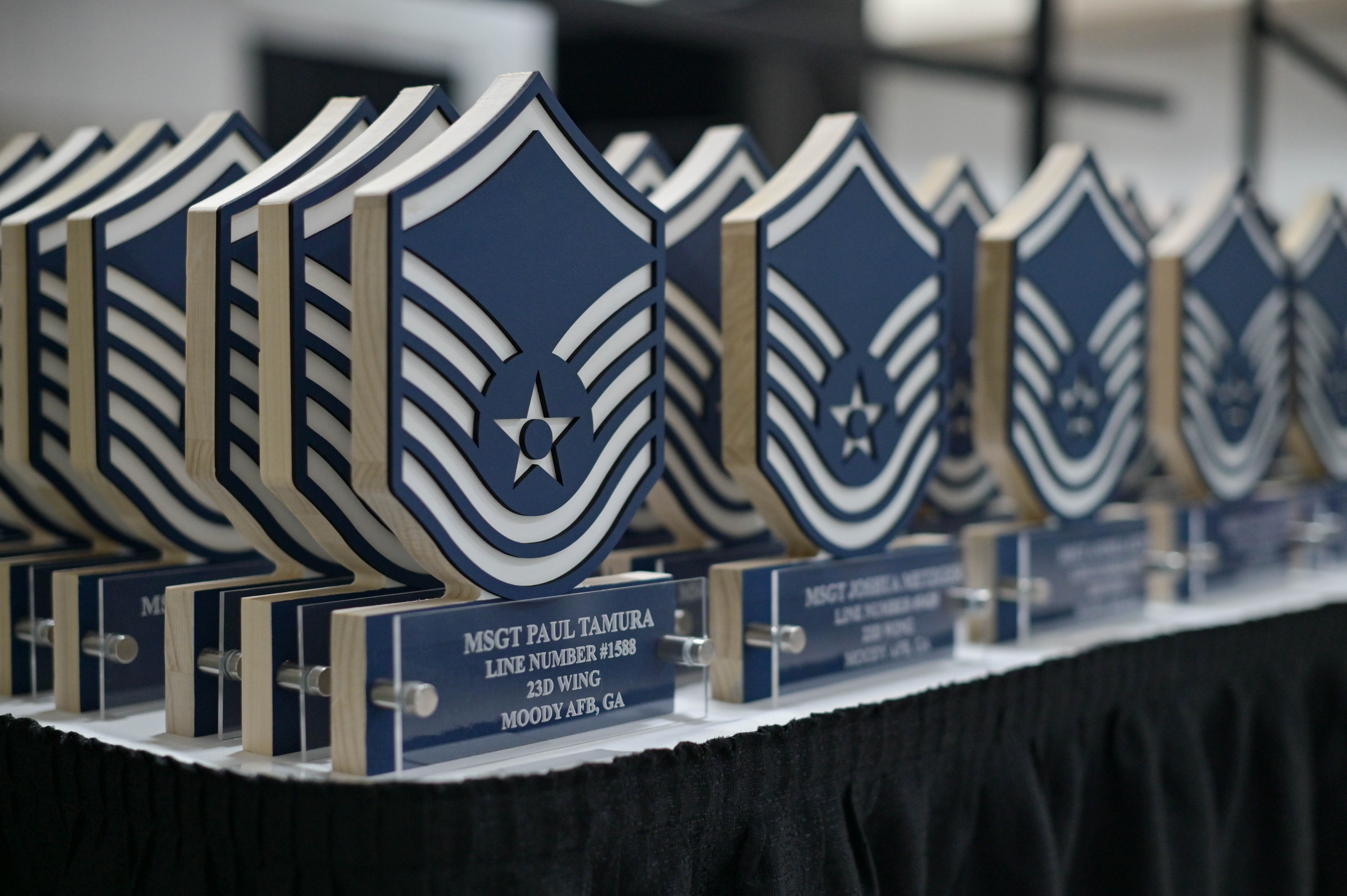 Moody Afb Snco Induction Ceremony 0 Hot Sex Picture