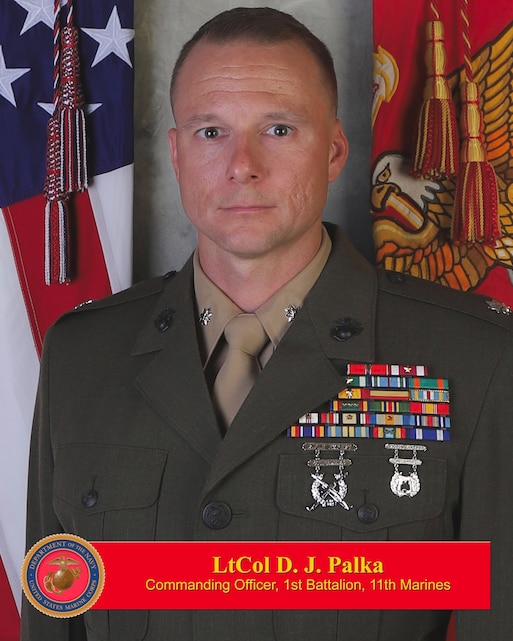 Lieutenant Colonel David J Palka 1st Marine Division Biography