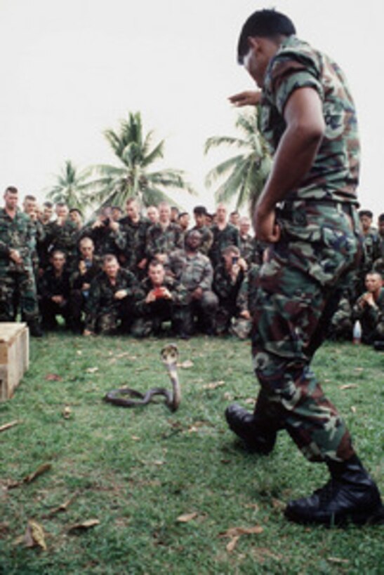 A Royal Thai Army instructor demonstrates jungle survival skills with a spotted cobra to U.S. personnel during the cross training portion of Exercise Cobra Gold '96 at Nakhon Si Thammarat, Thailand, on May 1, 1996. Cobra Gold '96 is the latest in a continuing series of U.S. /Thai military exercises designed to ensure regional peace and strengthen the ability of the Royal Thai Armed Forces to defend Thailand. Approximately 9,000 U.S. and 10,000 Thai personnel are participating in the exercise. The instructor is from the 4th Psychological Operation Company, 5th Infantry Division of the Royal Thai Army. 