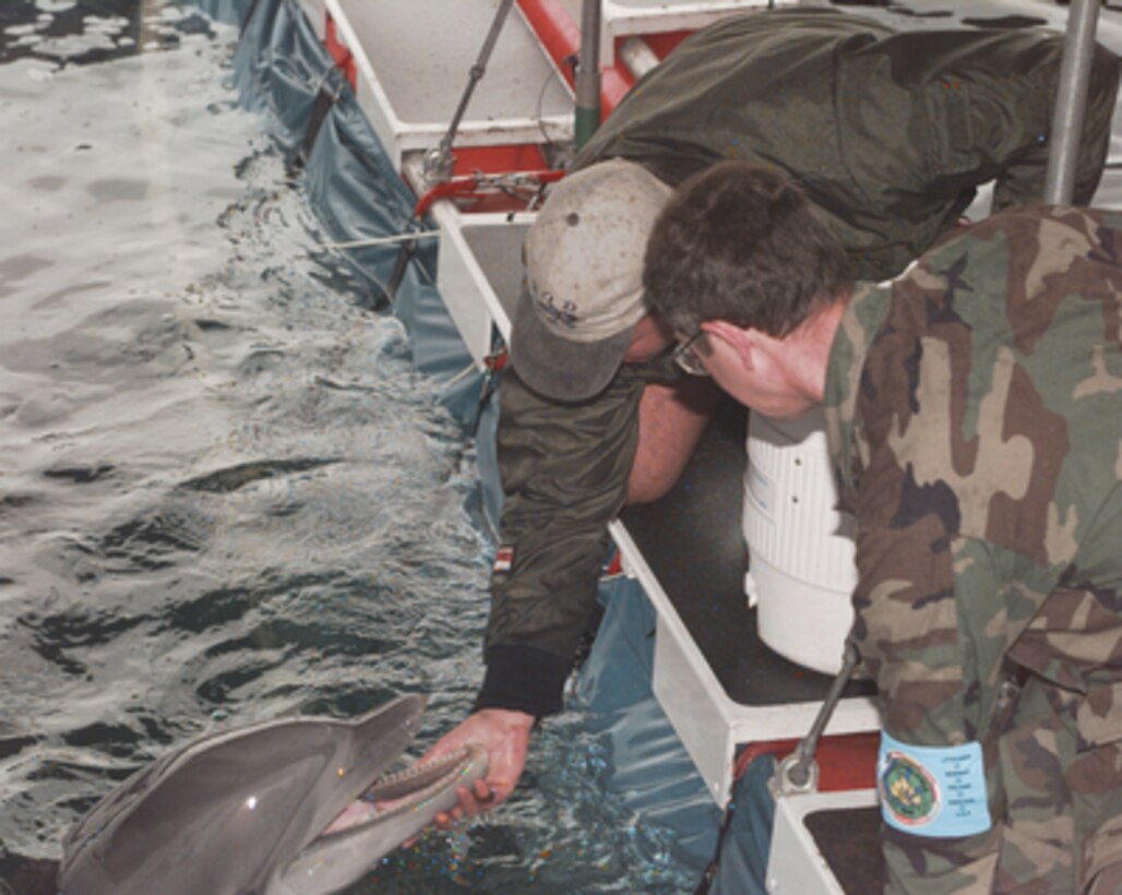 Col. Linn of the United States Air Force, looks on as Staff Sgt. Fahs, who is part of the Mobil Unit 3 out of San Diego, Calif., pets one of the dolphins while in the country of Lithuania. The dolphin is also used for the service of the United States Navy. The dolphins are in country for Baltic Challenge, the largest peace support exercise held in the Baltic Region. The United States and 11 European nations will participate in this operation that will be conducted in the spirit of the "Partnership-for-Peace (PFP)" program. 