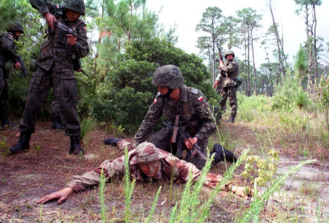 One Polish soldier covers another as he frisks a captured enemy aggressor at Landing Zone Coot, Camp Lejeune, N.C., on June 5, 1998, during Exercise Cooperative Osprey '98. U.S. Marines are role playing as the aggressors to the Polish for the Convoy Operations training exercise which teaches truck moving procedures, mission planning and food distribution sites. Cooperative Osprey '98 is a Partnership for Peace situational training exercise designed to improve the interoperability of NATO and partner nations through the practice of combined peacekeeping and humanitarian relief operations. Partner nations include Albania, Bulgaria, Estonia, Georgia, Kazakstan, Kyrgyzstan, Latvia, Lithuania, Moldova, Poland, Romania, Ukraine, and Uzbekistan. Participating NATO nations include Canada, The Netherlands, and the United States. 