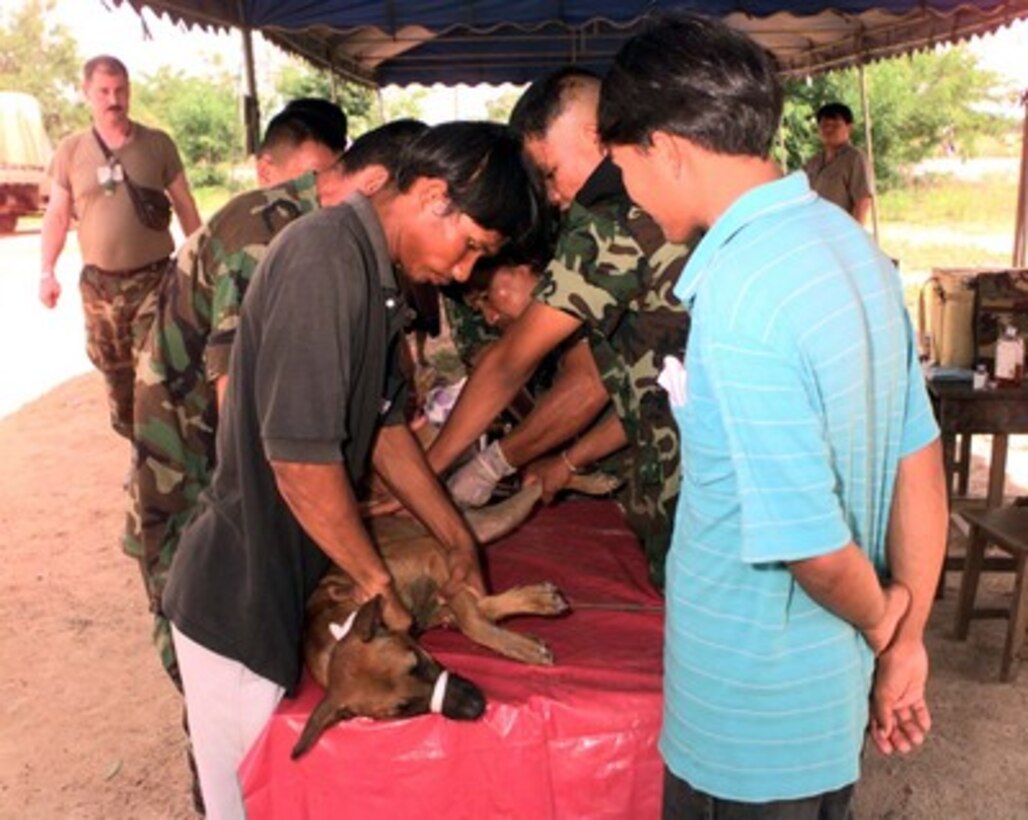 Veterinarians from the Royal Thai military care for a pet dog during an Exercise Cobra Gold '98 combined U.S.-Thai Medical Civic Action Program visit to the village of Ban Nong TA Yot, Thailand, on May 18, 1998. Cobra Gold '98 is the latest in a continuing series of U.S.-Thai military exercises designed to ensure regional peace and strengthen the ability of the Royal Thai Armed Forces to defend Thailand. The training includes joint combined air, land and sea operations. Cobra Gold is the largest strategic mobility exercise involving the U.S. Pacific Command forces this year. The visit is one of 10 planned during the exercise. 