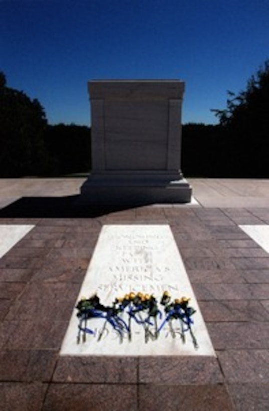 Doug Briney, Unknown Soldiers, The Tomb of The Unknown Soldier