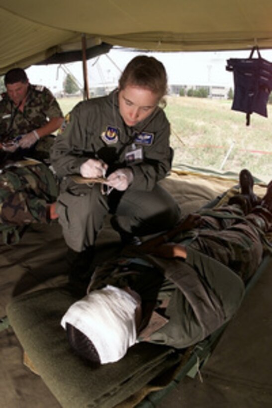 Flight Nurse Capt. Denise Fogh, U.S. Air Force, conducts an initial health assessment of a simulated injured patient at Constanta, Romania, on July 13, 2000, during Exercise Rescue Eagle 2000. Rescue Eagle 2000 is a Romanian-hosted joint and combined exercise designed to improve the abilities of multi-national forces to conduct peacekeeping, search and rescue, humanitarian assistance and disaster relief missions. Forces from Azerbaijan, Bulgaria, Georgia, France, Germany, Greece, Hungary, Italy Moldovia, Romania, Slovakia, Turkey and the United States are participating in the exercise. Fogh, from Mariposa, Calif., is assigned to the 86th Aeromedical Evacuation Squadron, Ramstein Air Base Germany. 