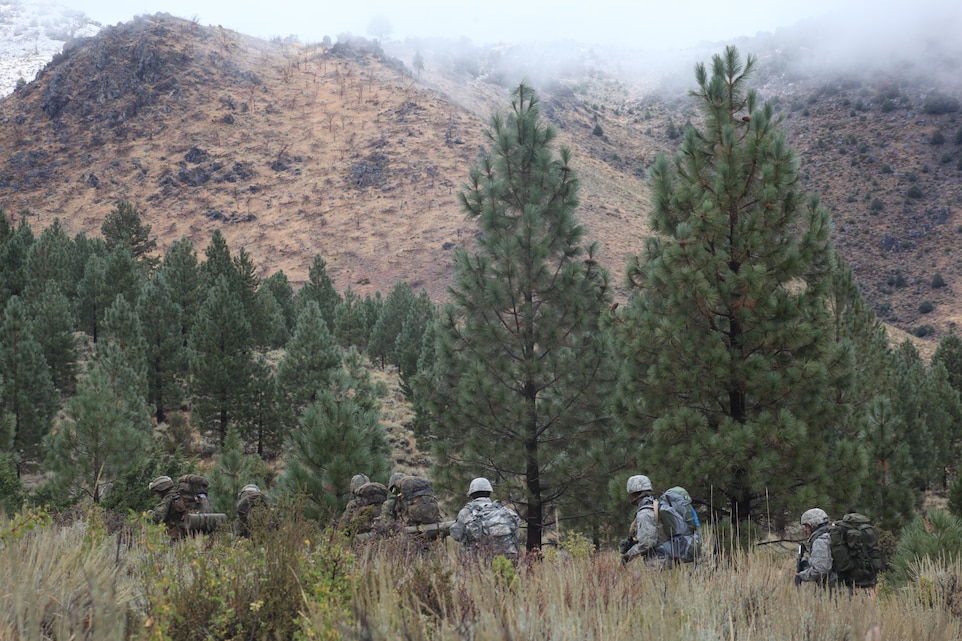 Marines, sailors and airmen patrol across a mountainside at the Mountain Warfare Training Center in Bridgeport, Calif., Oct. 6, 2010, in route to a simulated Afghan village at just over 8,000 feet, where the joint force would conduct a Cordon and Search exercise. ::r::::n::