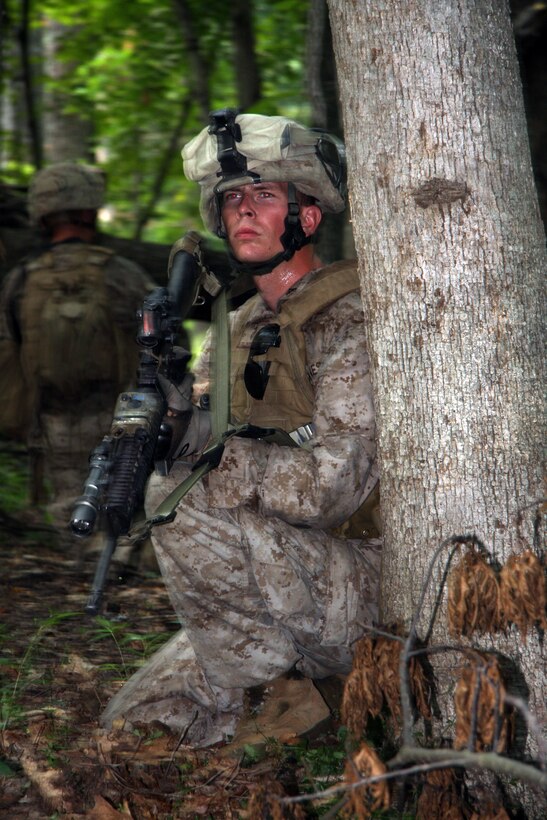 Marines with 1st platoon, Company B., Battalion Landing Team 1st Battalion, 9th Marine Regiment, 24th Marine Expeditionary Unit, work together as navigate a thick tree line to locate, close with, and destroy their simulated enemy during a movement under fire range aboard U.S. Army Base Fort A.P. Hill, Va., Aug. 8.  (U.S. Marine Corps Photo by LCpl. David J. Beall)